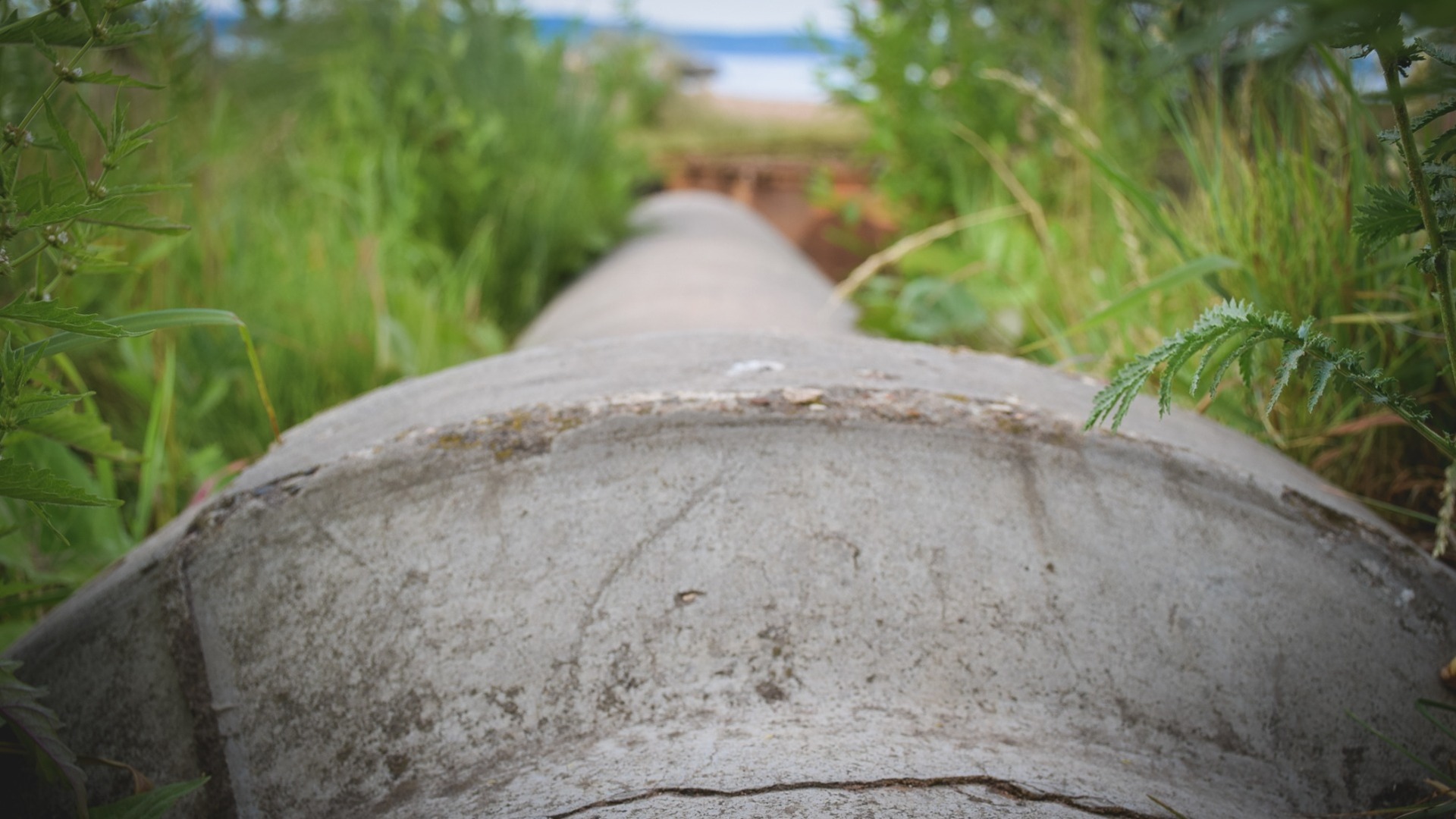 Бутурлинский водоканал обвинили в сбросе недостаточно очищенных стоков в Пьяну