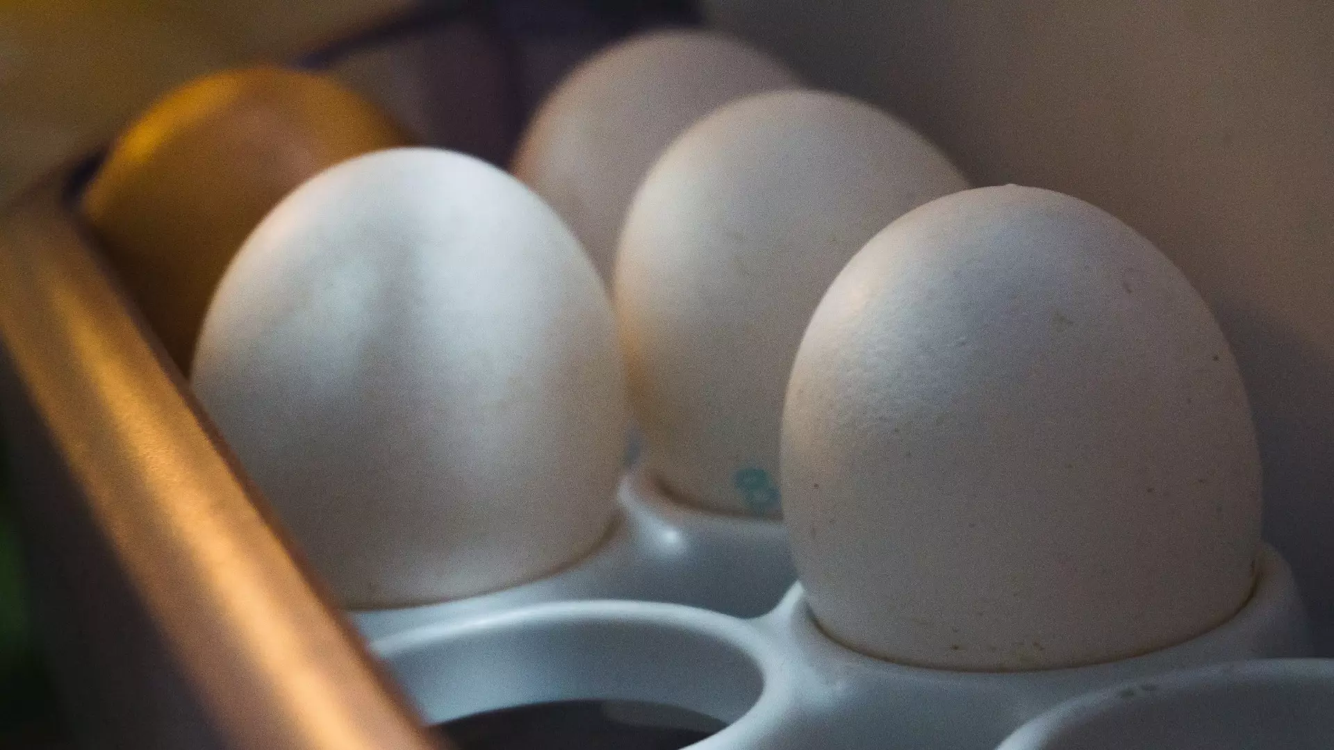 Производство яиц в Нижегородской области за четыре года уменьшилось на 11%