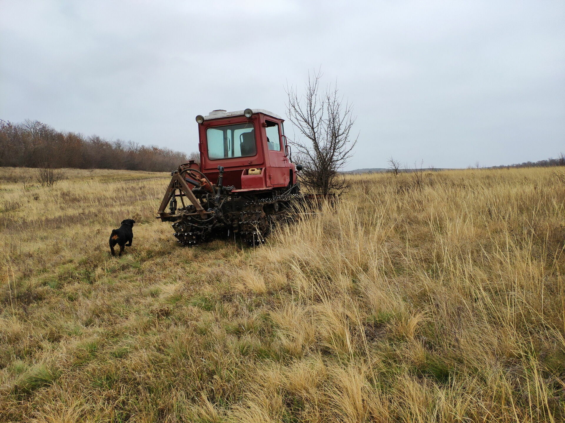 Тюрин: «Нижегородские аграрии выполнили поставленные задачи в полном объеме»