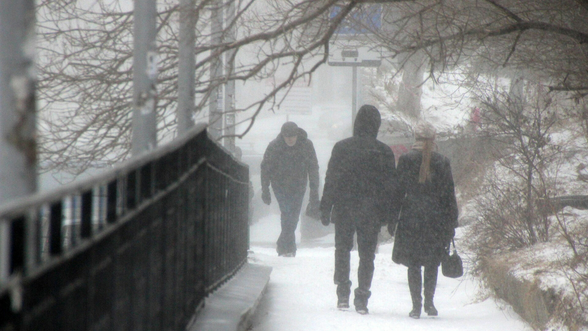 Метель и сильный ветер накроют Нижегородскую область 14 января