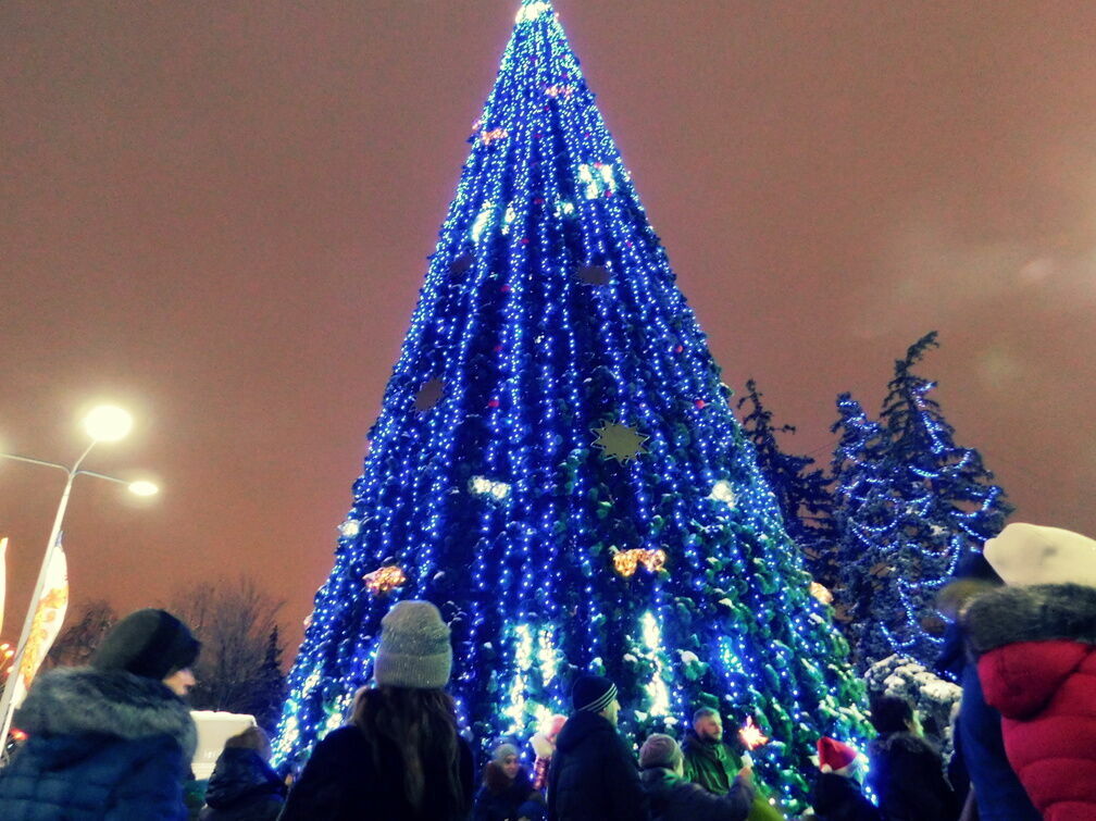Новогоднее украшение Нижнего Новгорода вызвало вопросы