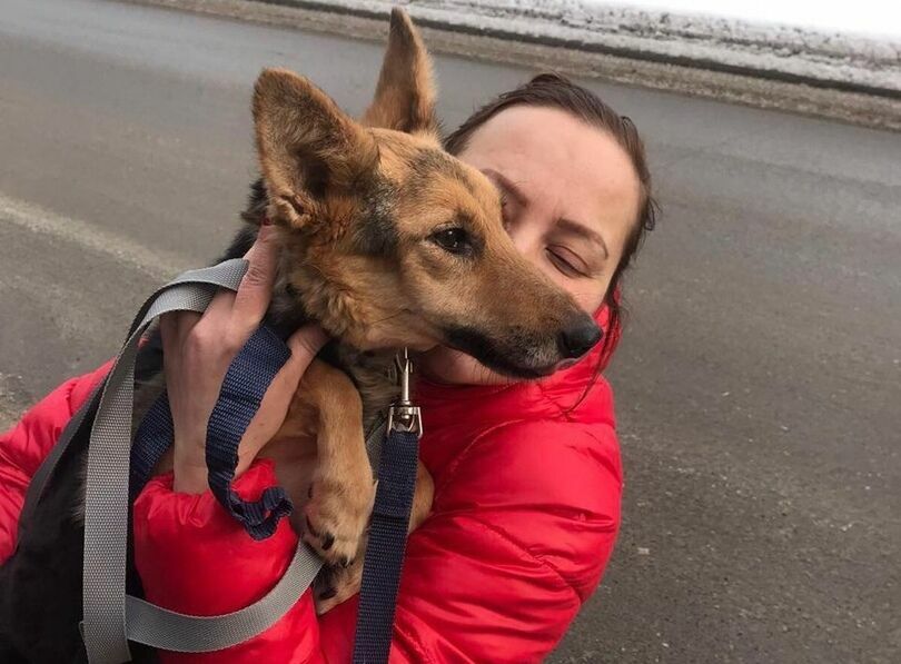 Жительница Перми забрала спасенную в Нижнем Новгороде собаку