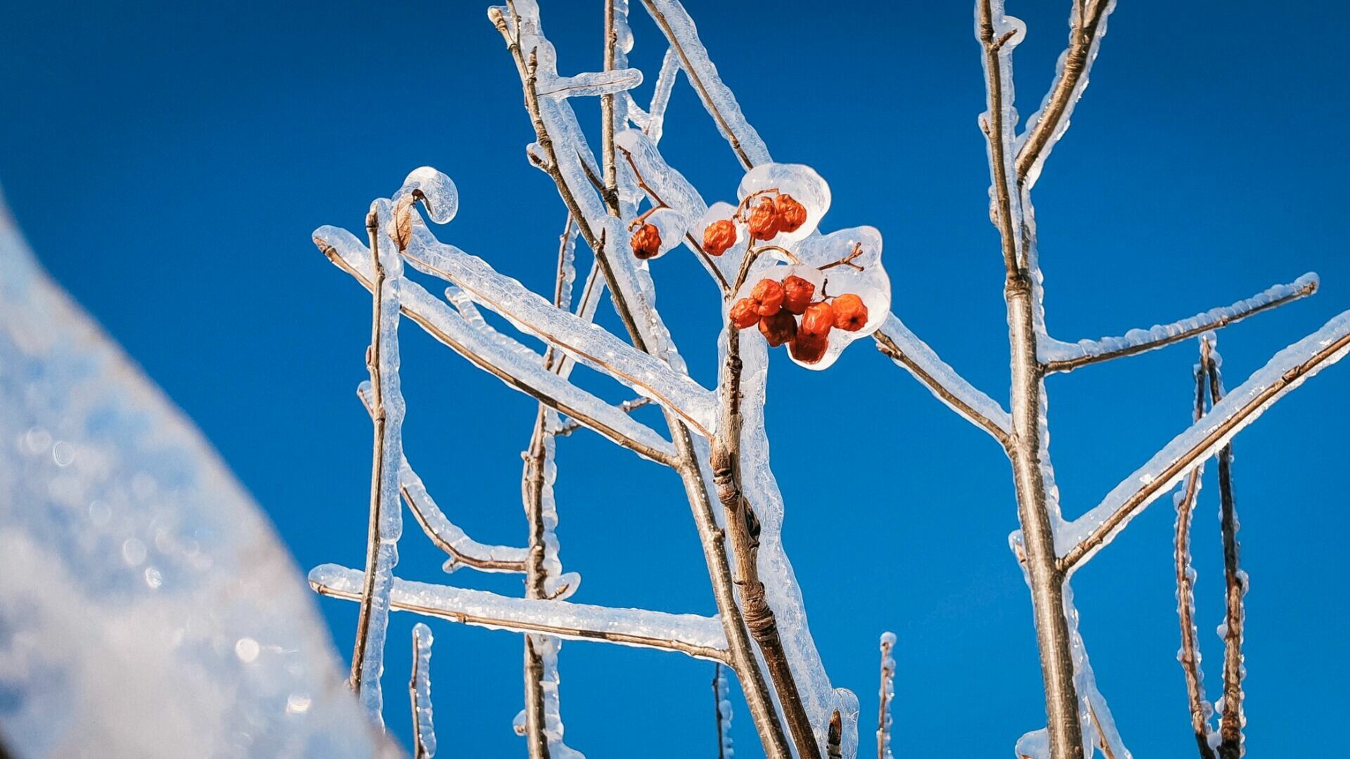 Рекордно долгие морозы установились в Нижегородской области