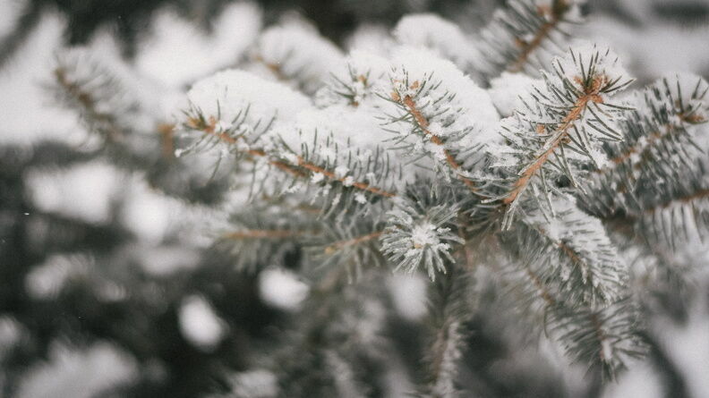 Облачная и снежная погода ожидается в Нижнем Новгороде 7 января