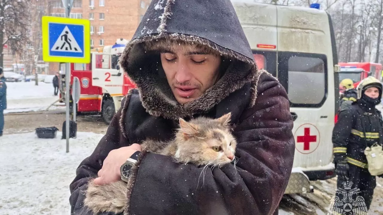 Кошку Фросю спасли из горящего дома на Звездинке в Нижнем Новгороде