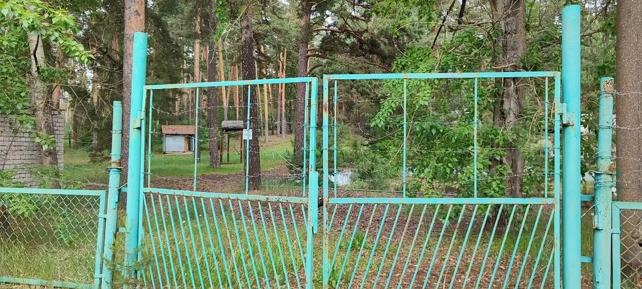 Заброшенный лагерь «Чайка» под Дзержинском