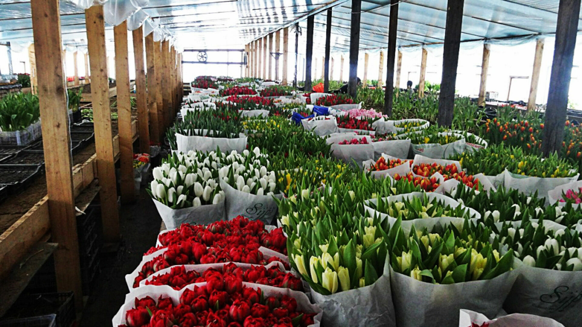 Цветочным магазинам разрешили работать на доставку в Нижегородской области