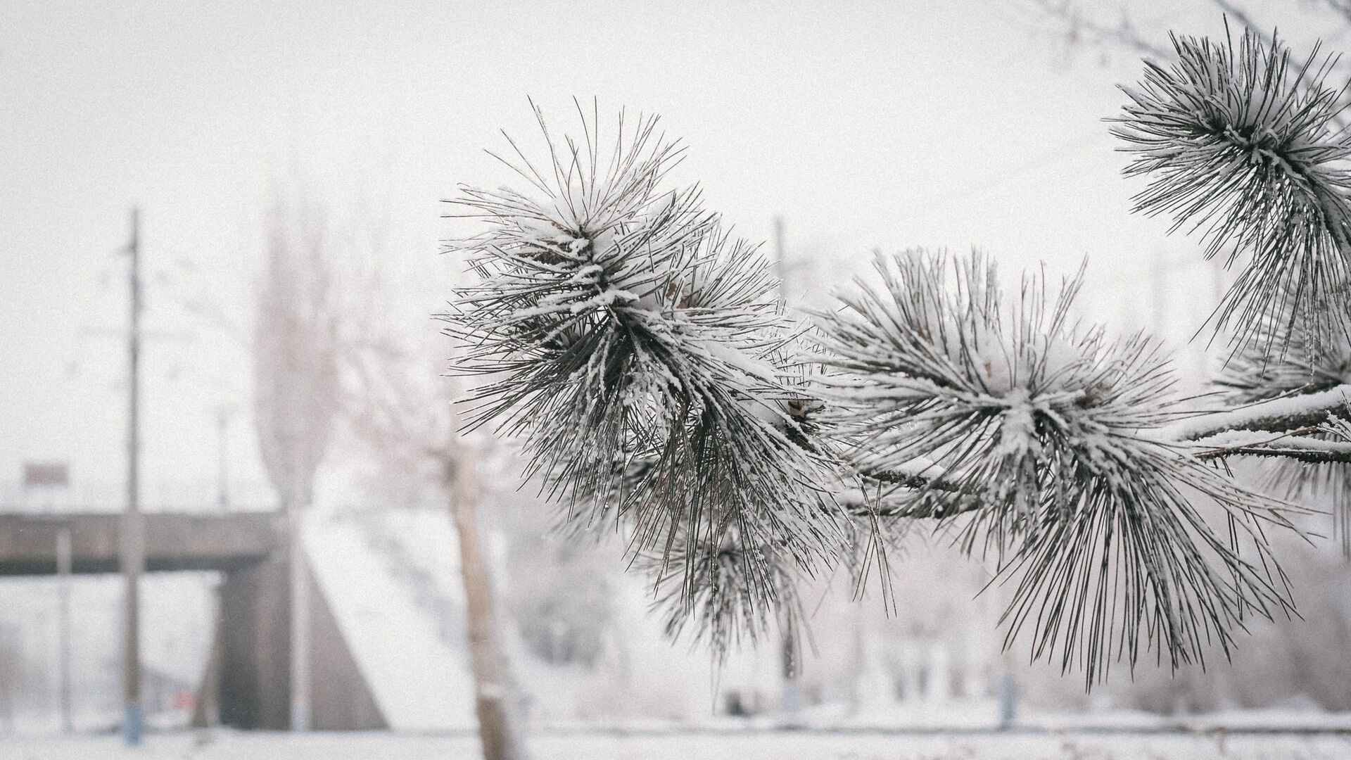 Снегопады задержатся в Нижнем Новгороде