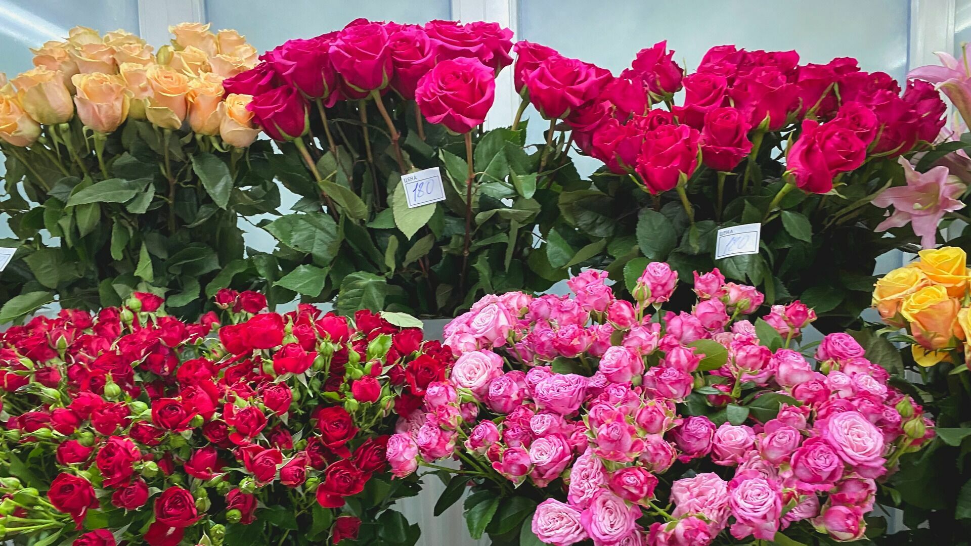 Сколько стоит букет цветов к 8 марта в Нижнем Новгороде