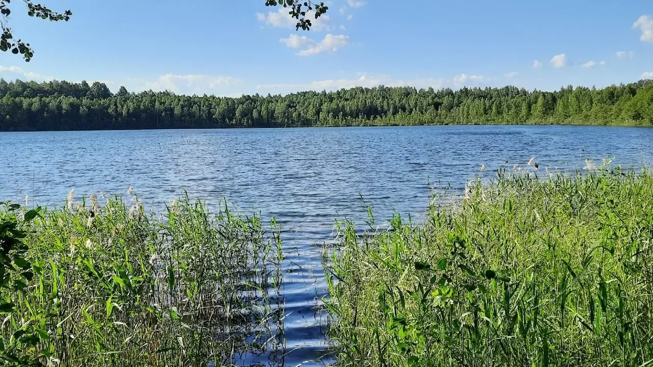 Озеро Светлояр в Нижегородской области 