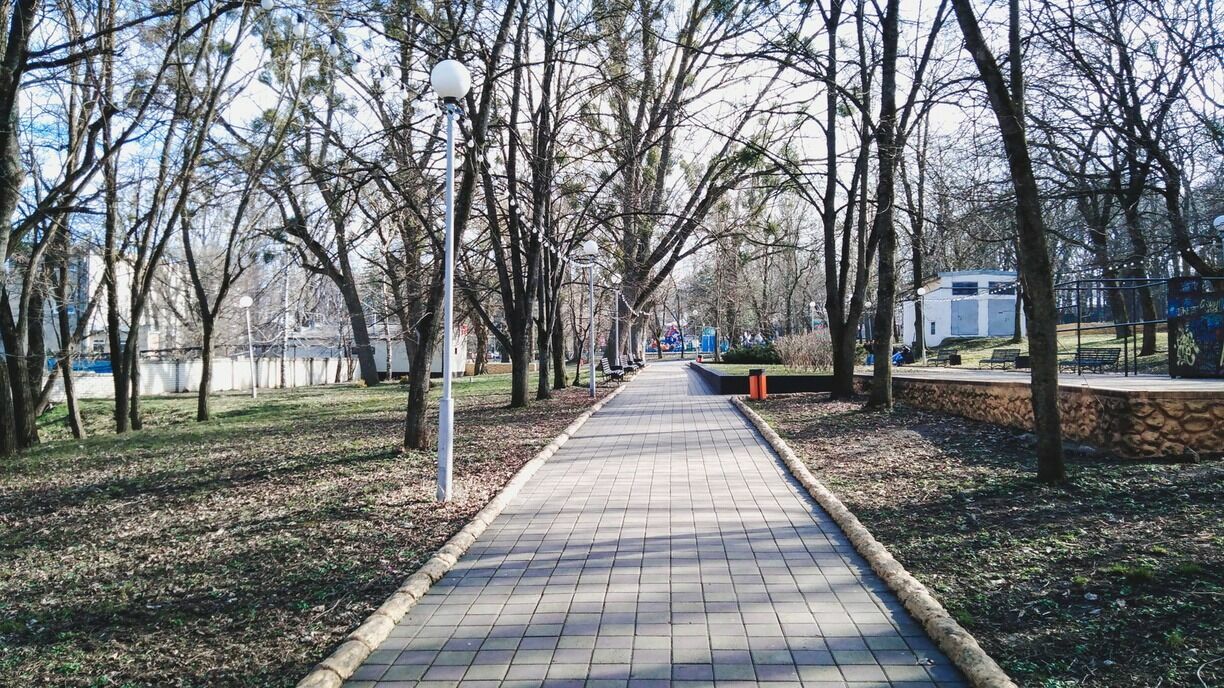 123,3 млн рублей потратят на благоустройство парка Кулибина в Нижнем Новгороде