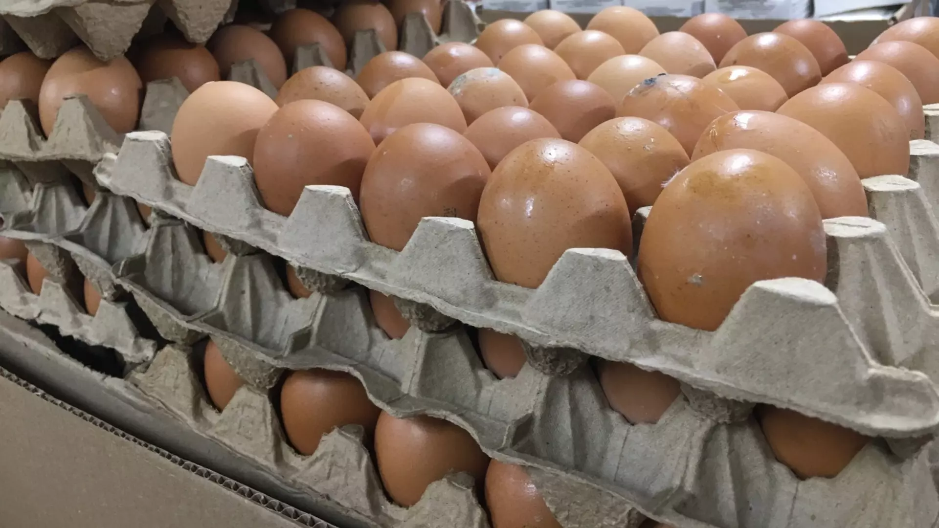 Нижегородцы стали массово скупать яйца из-за роста цен