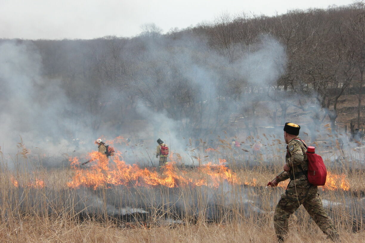 В Нижегородской области стали реже гореть леса
