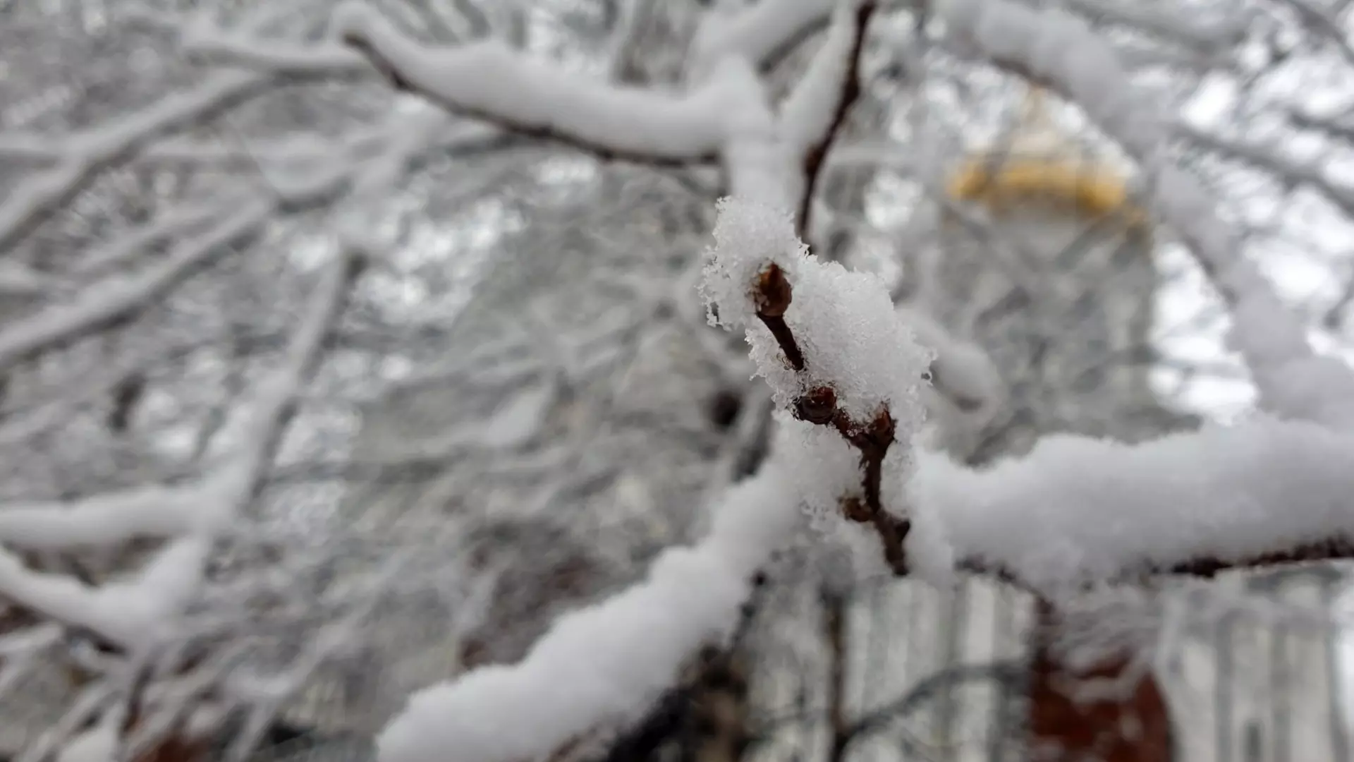 Морозы до -32 градусов прогнозируются в Нижегородской области
