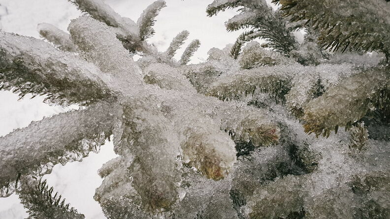 Ледяной дождь угрожает Нижегородской области днем 27 января