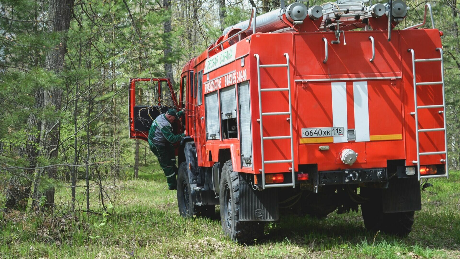 Особый противопожарный режим установили в Нижегородской области