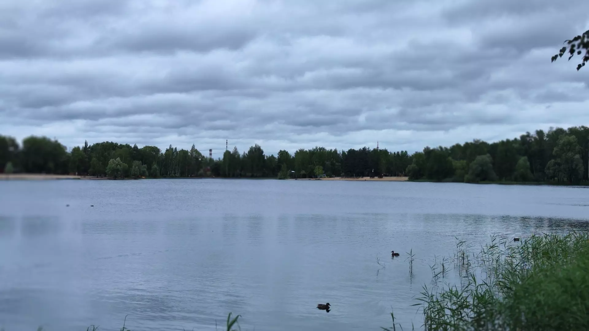 Озеро расчистили в Светлоярском парке
