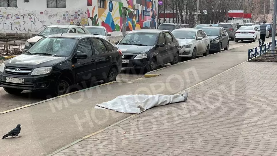 Нижегородка погибла, выпав из окна многоэтажки на Московском шоссе