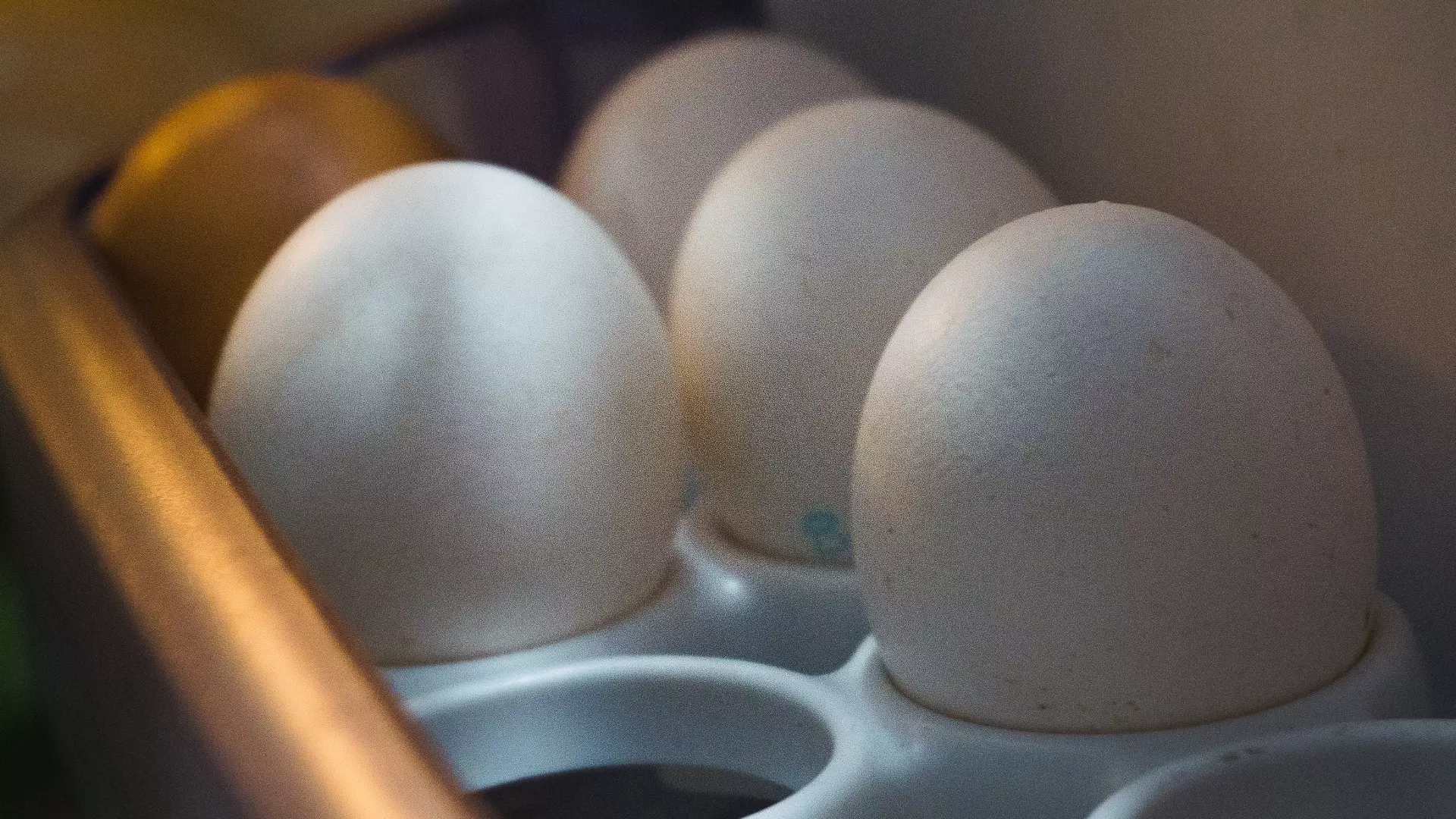 Снижение цен на яйца в РФ ожидается после Нового года