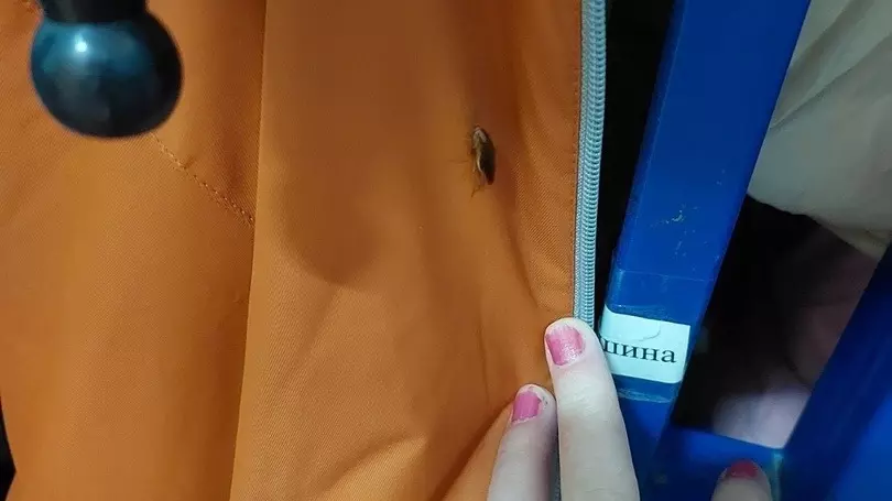 Тараканы на одежде нижегородского школьника
