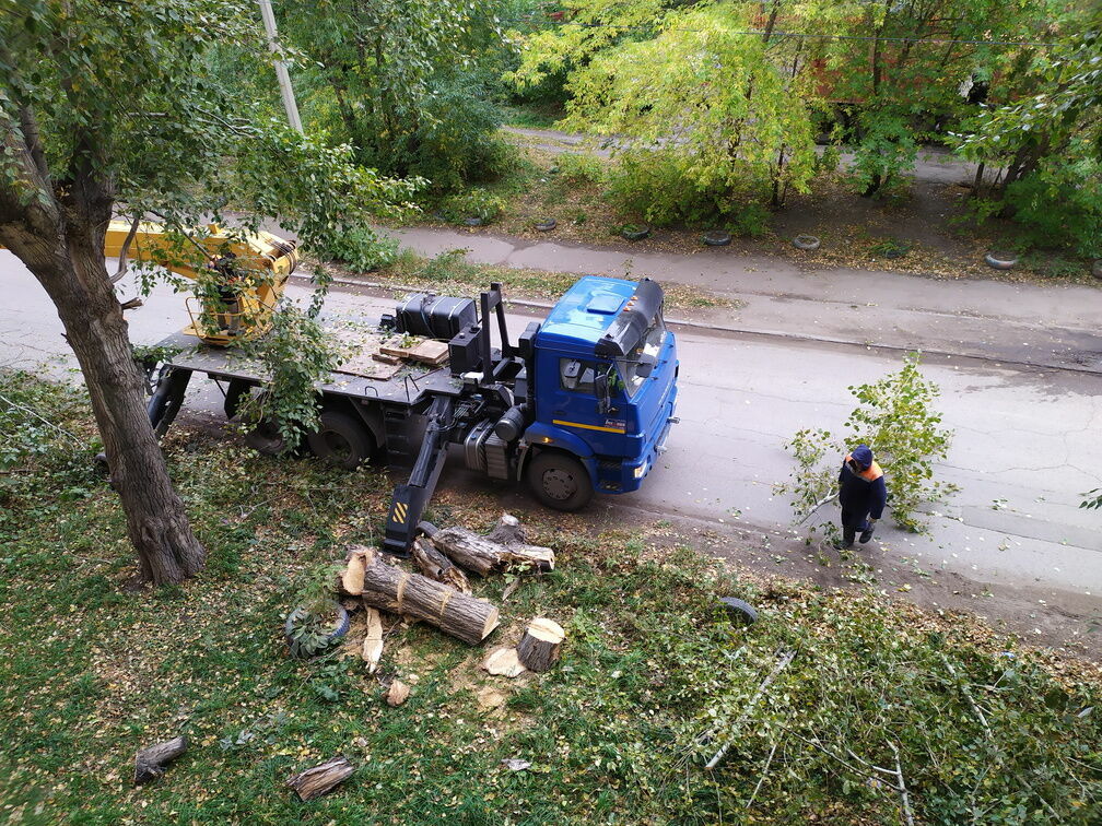 19 деревьев упали в Нижнем Новгороде из-за непогоды