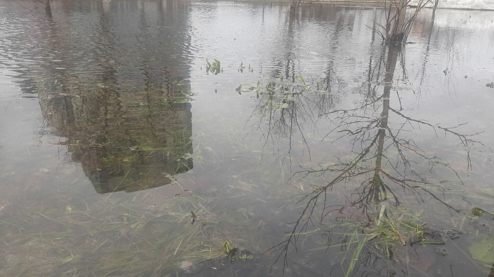 Весенний паводок в Нижегородской области не привел к ЧС в 2023 году