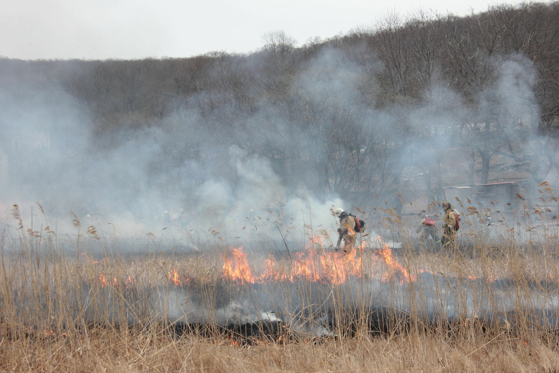 Еще один лесной пожар выявлен в Нижегородской области