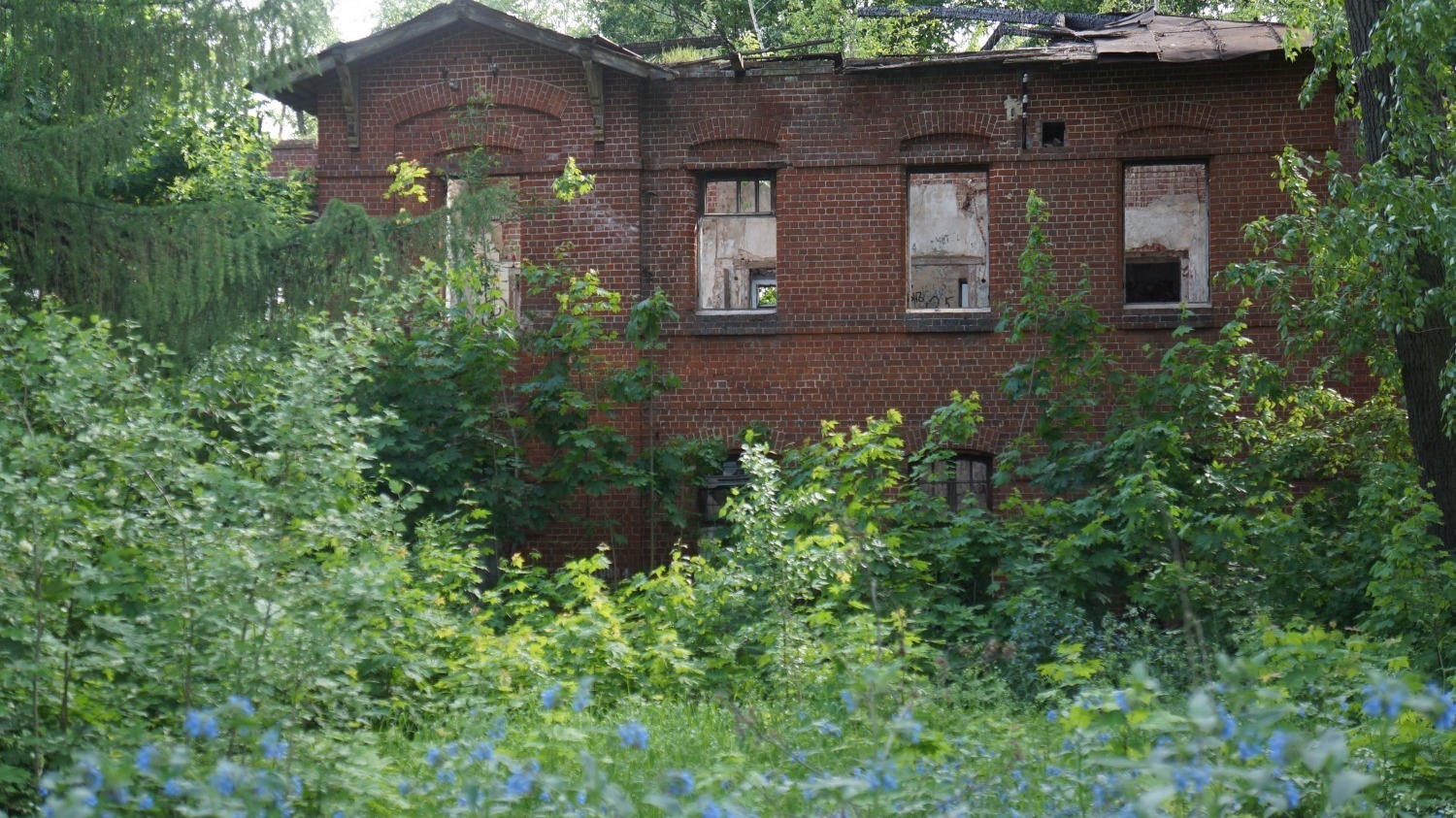 Заброшенные корпуса психбольницы не планируют восстанавливать в Нижнем Новгороде