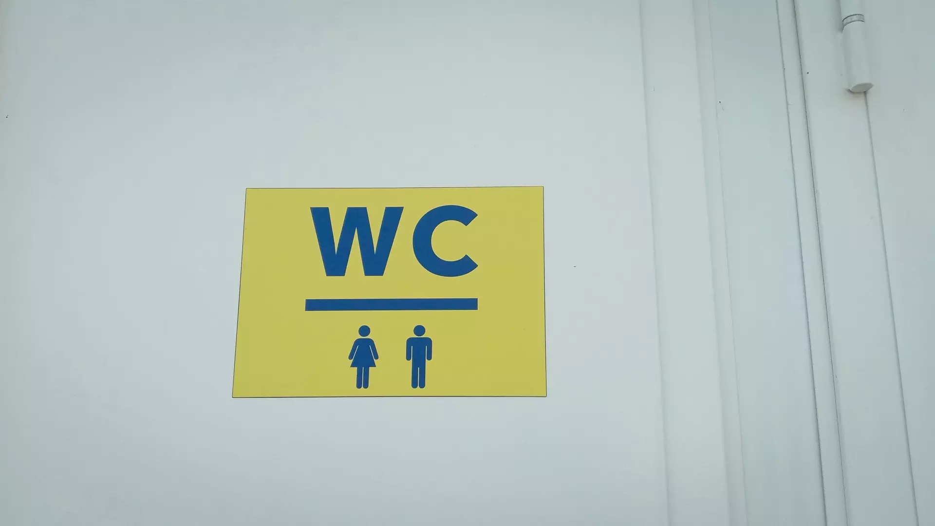Нижегородский проктолог дал совет по сокращению чтения в туалете нижегородцам