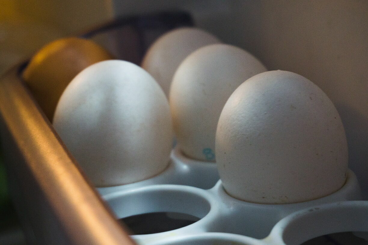 В куриных яйцах нижегородского производителя были найдены антибиотики
