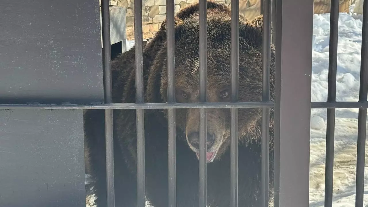 Животные встречают весну в нижегородском зоопарке