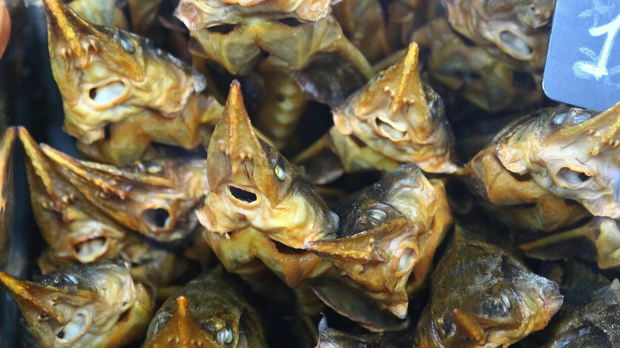 В Нижегородскую область снова будут поставлять рыбу из Чили