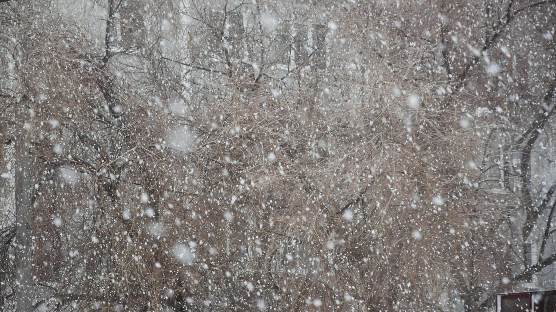 Сильный снегопад накроет Нижегородскую область 16 декабря