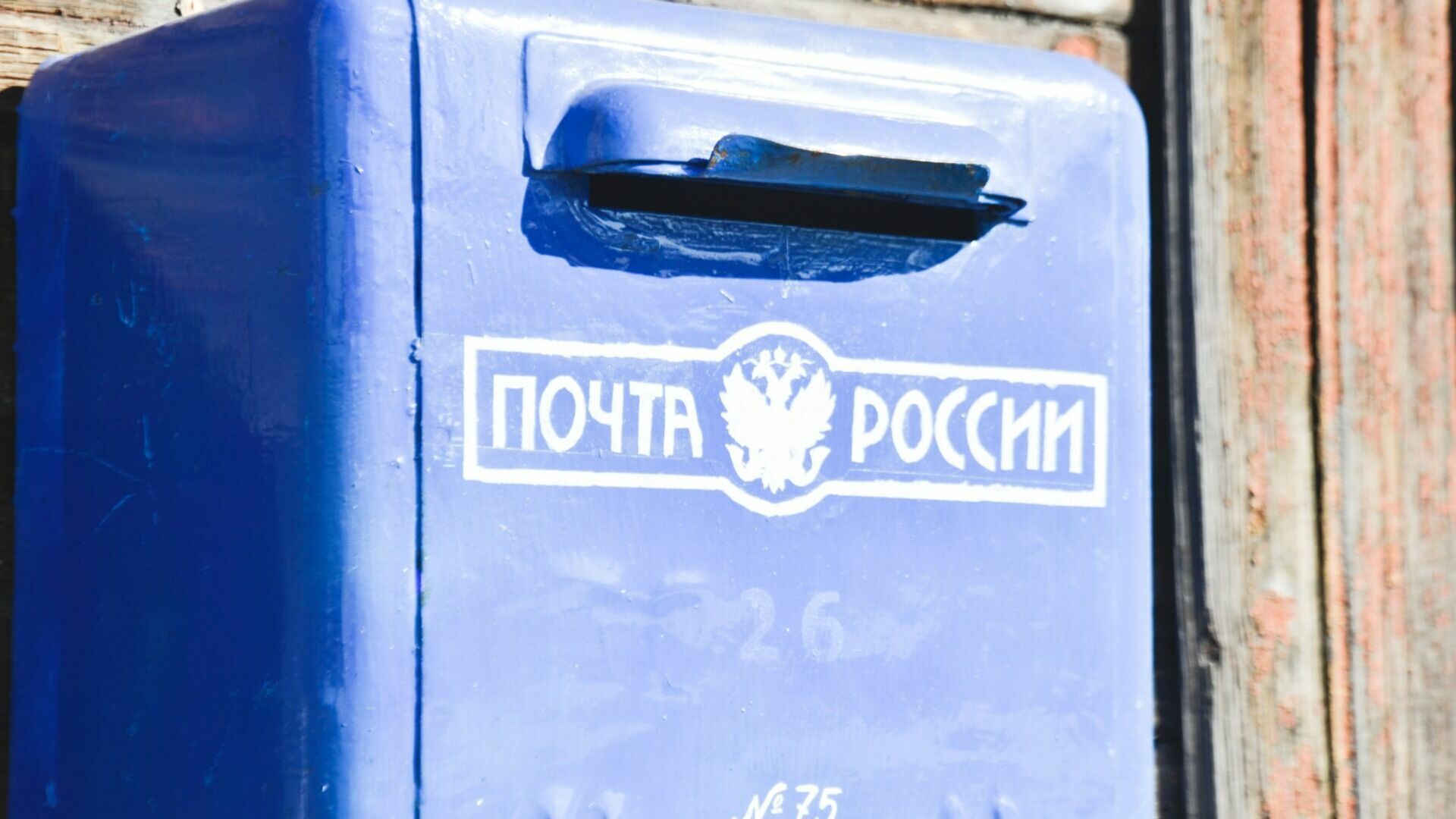 Депутат Госдумы взялась за решение проблемы с почтой в Нижегородской области