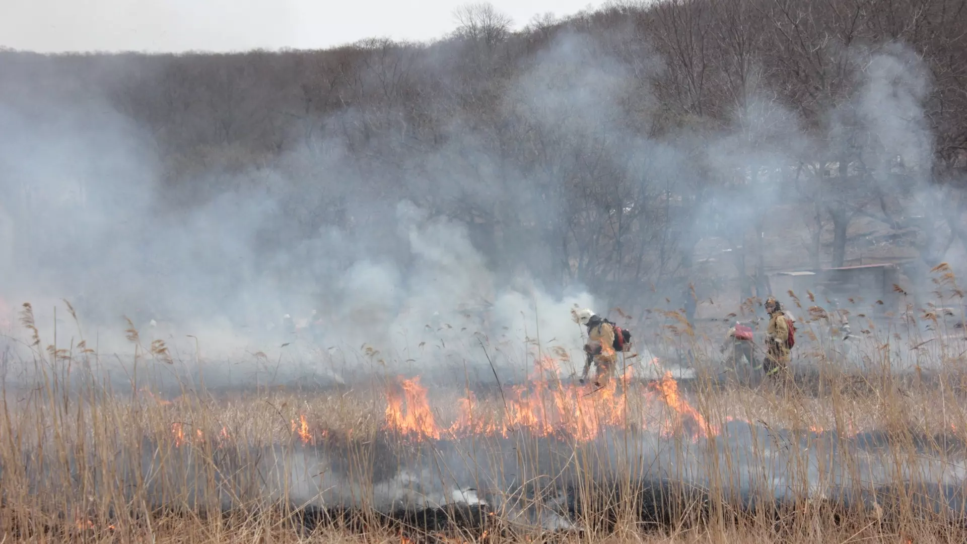 Лесной пожар случился в Нижегородской области