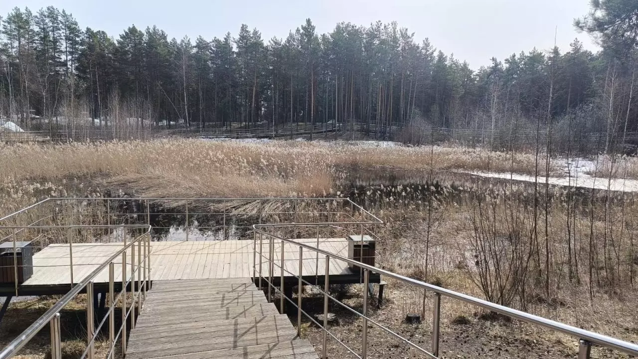 Осужденных привлекут к расчистке Утиного озера в Дзержинске