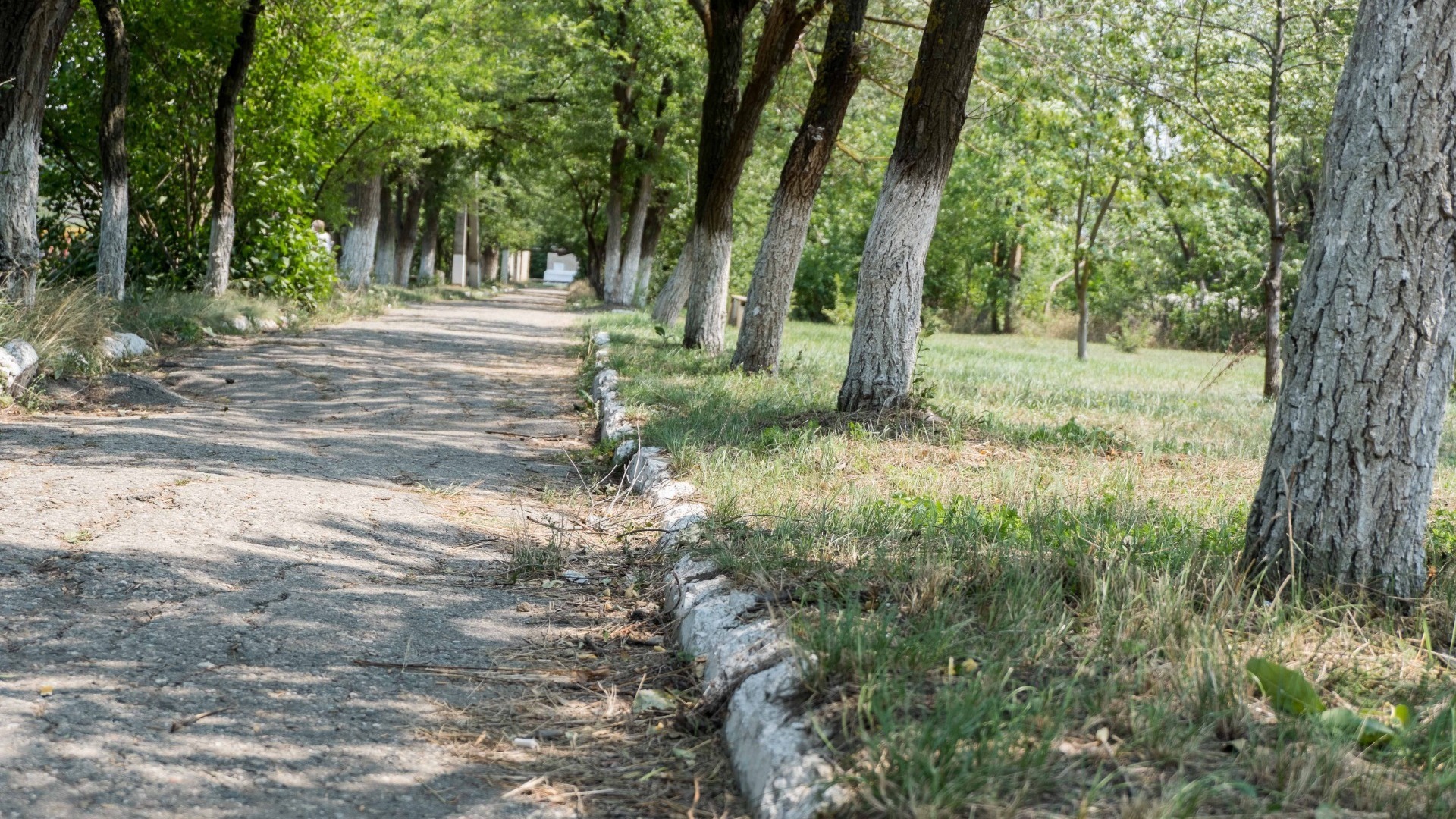 Нижегородцы обратились к зампреду ЗСНО из-за вырубки деревьев в Щербинках