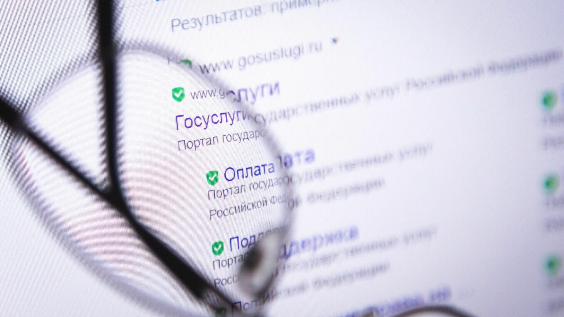 69 услуг могут оформить нижегородцы в онлайн-формате