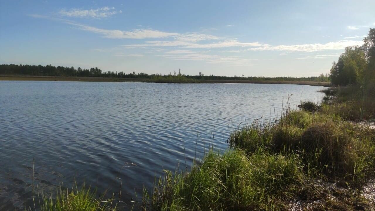 Тело мужчины достали из реки Лапшанга в Нижегородской области