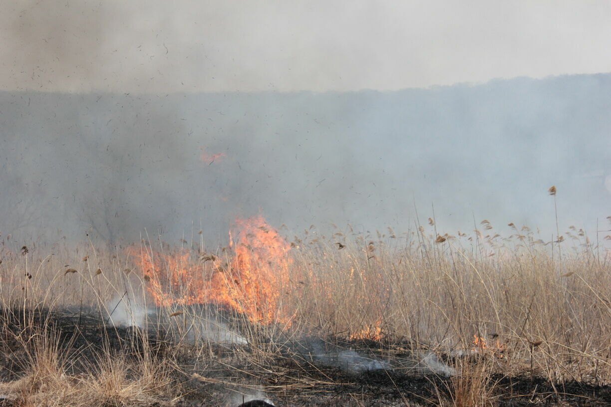 МЧС предупредило нижегородцев о чрезвычайной пожароопасности