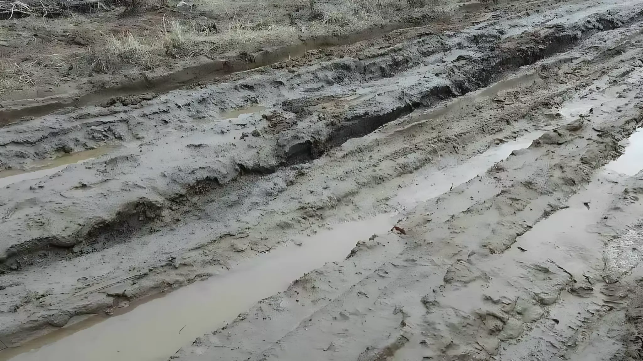 Нижегородцы пожаловались на грязь в поселке Сосновское