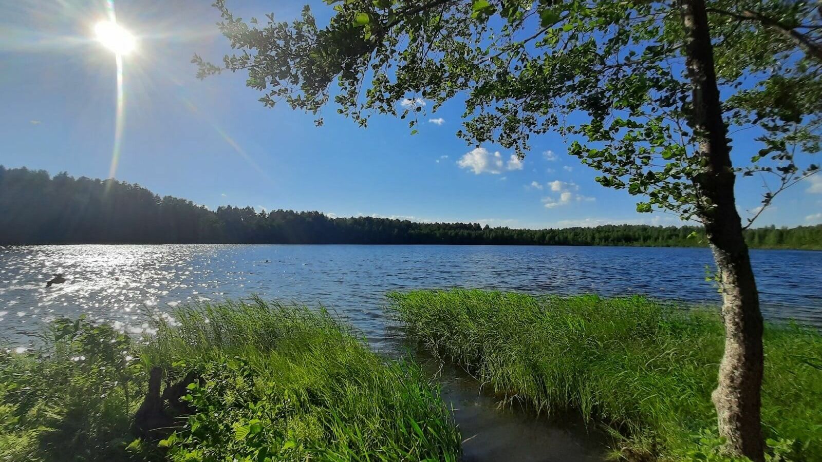 Центр экотуризма «Ворсма» создадут возле озера Тосканка за 250 млн рублей 