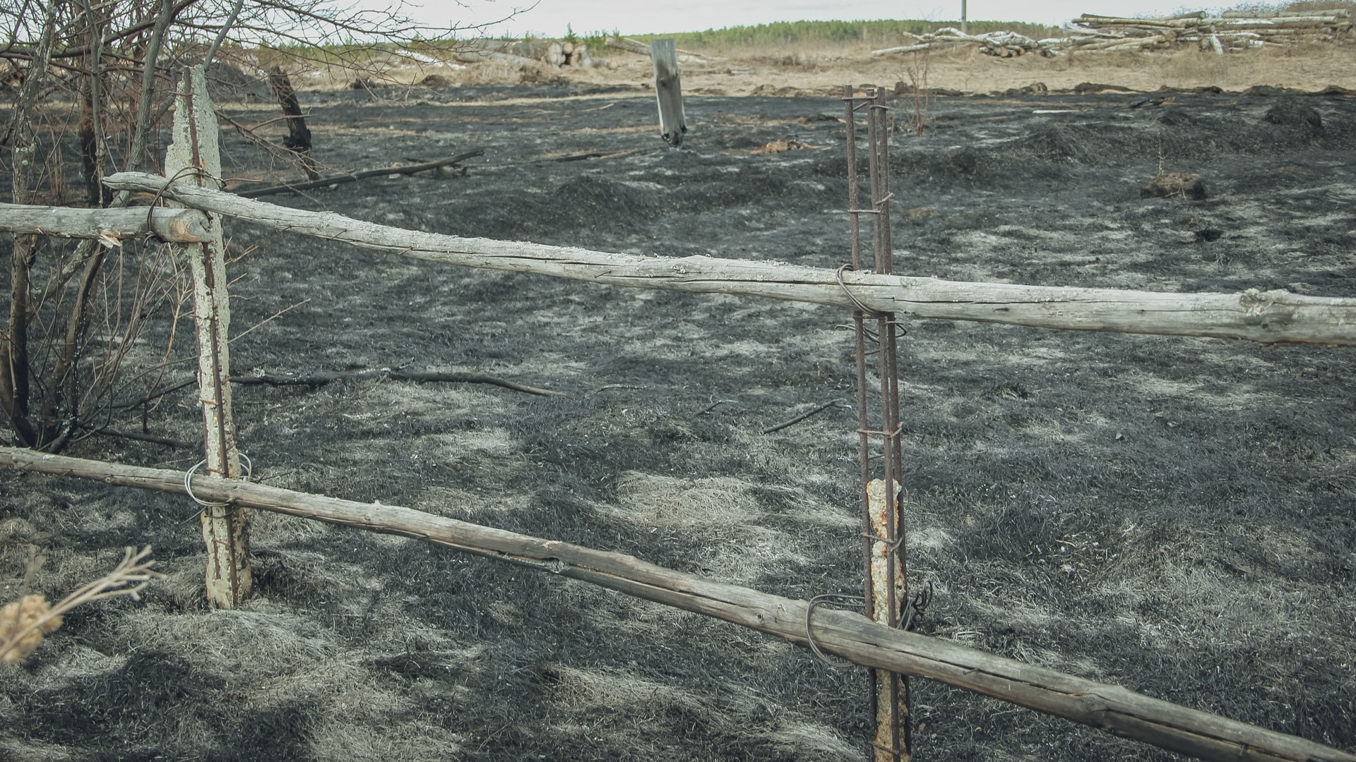 Сенохранилище сгорело в Ковернинском округе