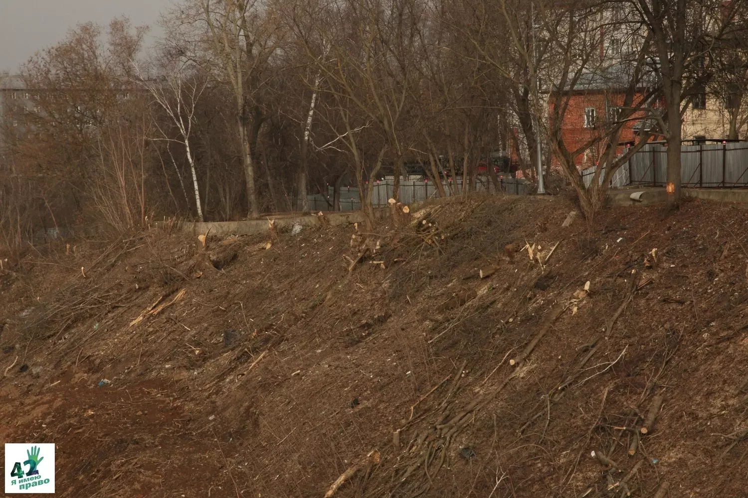 Фото со стройплощадки террасного парка в Нижнем Новгороде
