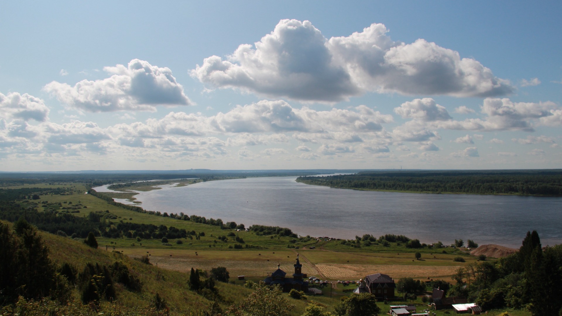 Где растет амброзия в Нижегородской области
