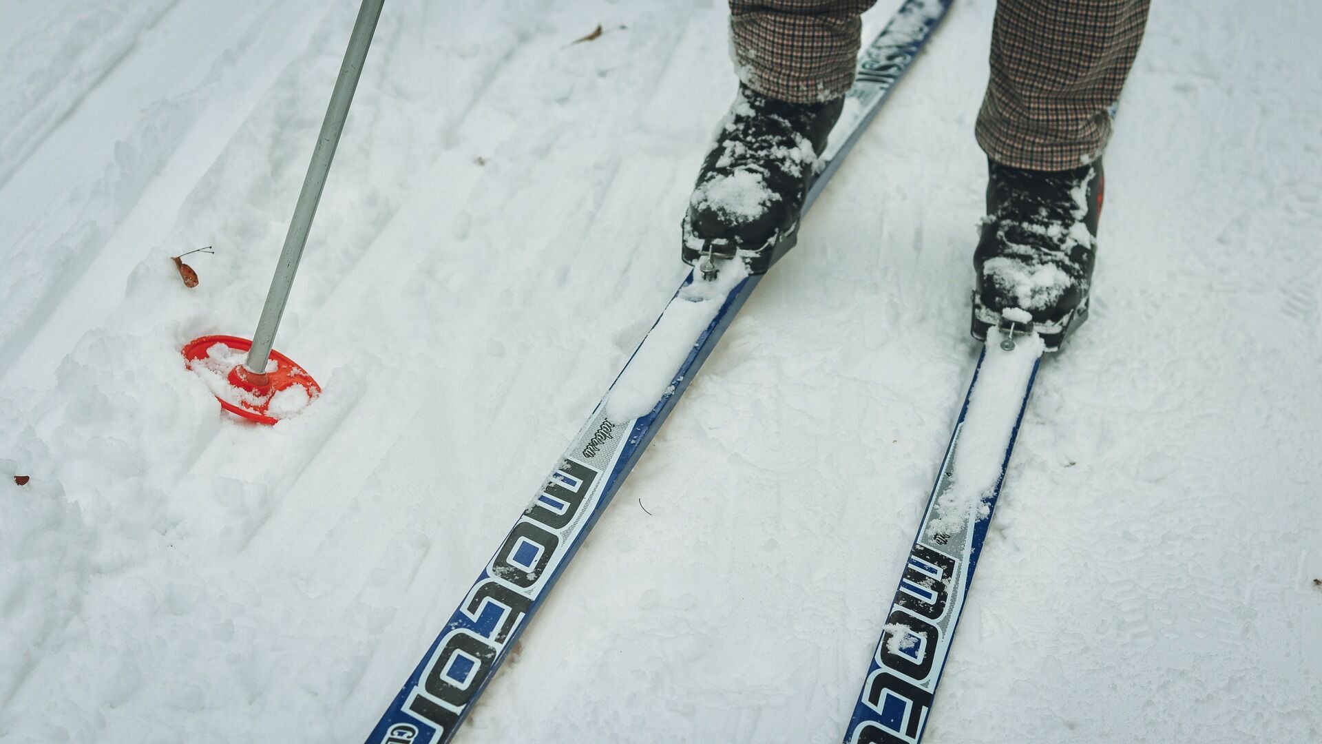 Лыжно-биатлонный центр появится в Балахнинском округе