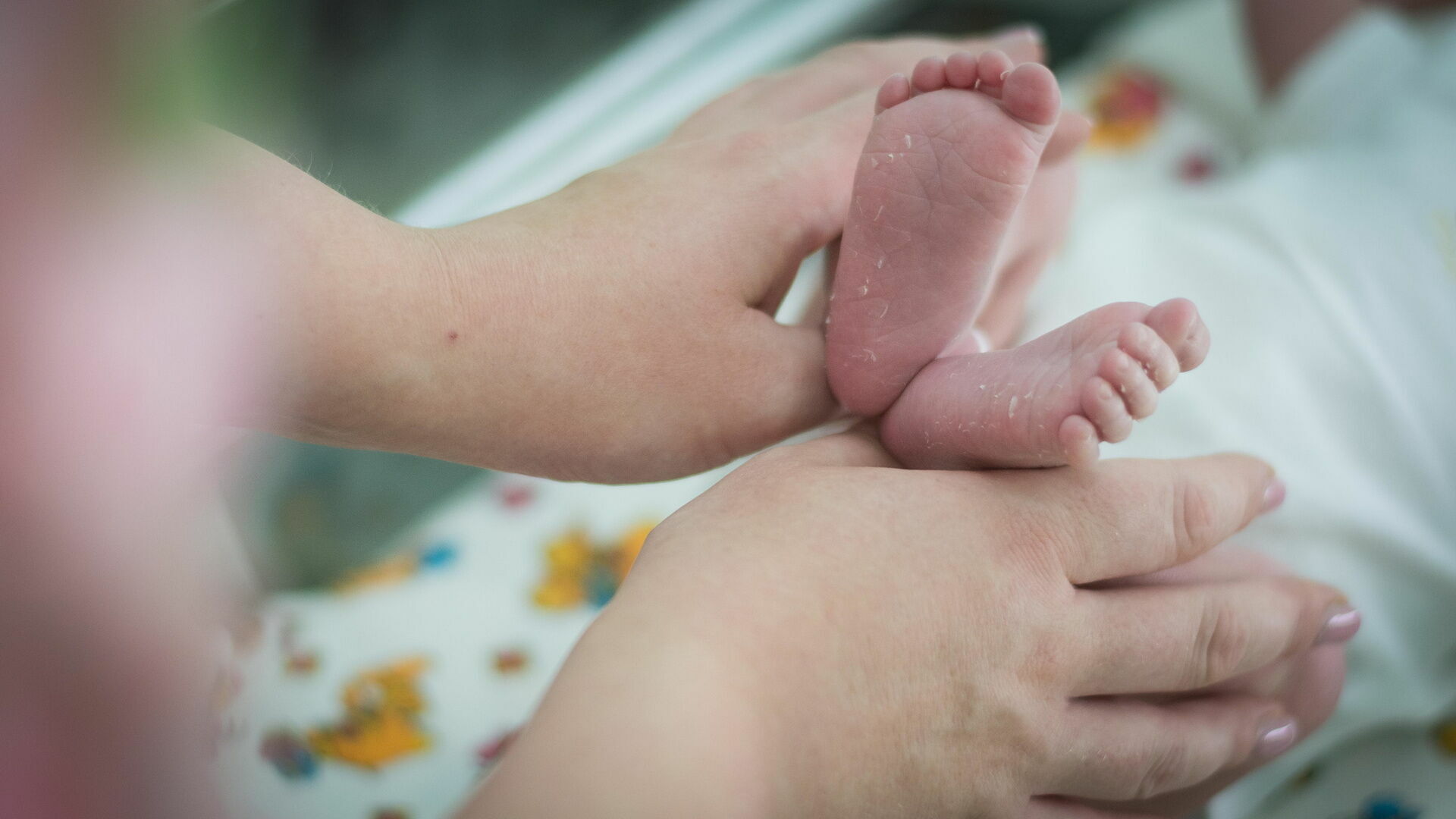 Нижегородки получают более 1 млн рублей за суррогатное материнство