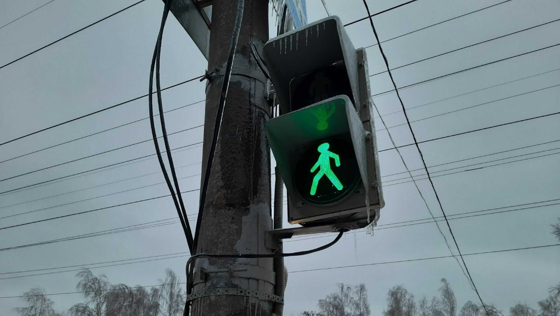 Светофоры будут озвучивать название улиц в Нижнем Новгороде
