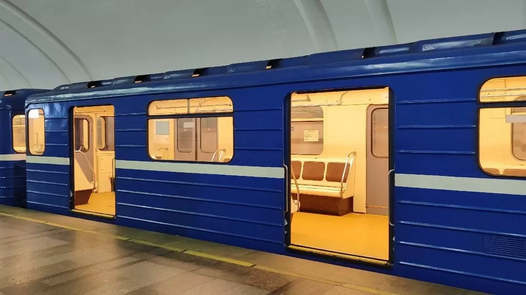 Работника нижегородского метро покусала дикая кошка
