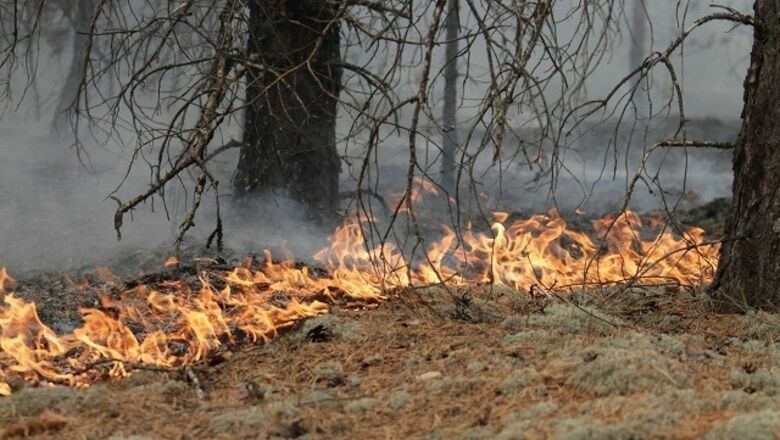 Пожар вспыхнул в лесу Воротынского района